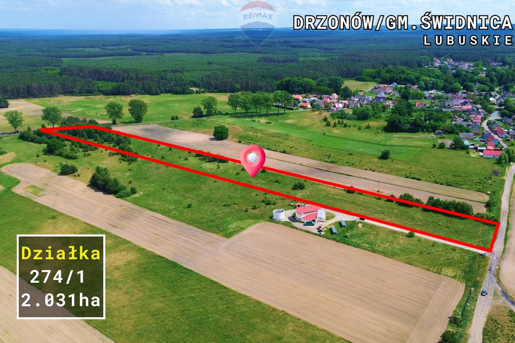 Działka rolna na sprzedaż Drzonów  20 314m2 Foto 4