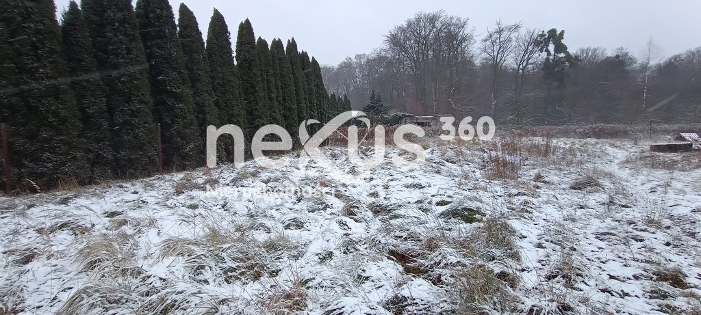 Działka leśna z prawem budowy na sprzedaż Borowa  7 000m2 Foto 5