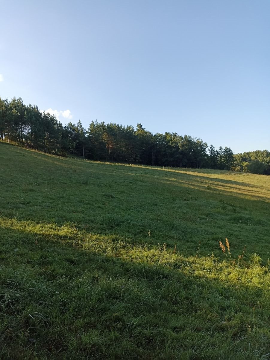 Działka gospodarstwo rolne na sprzedaż Udziejek  50 600m2 Foto 5