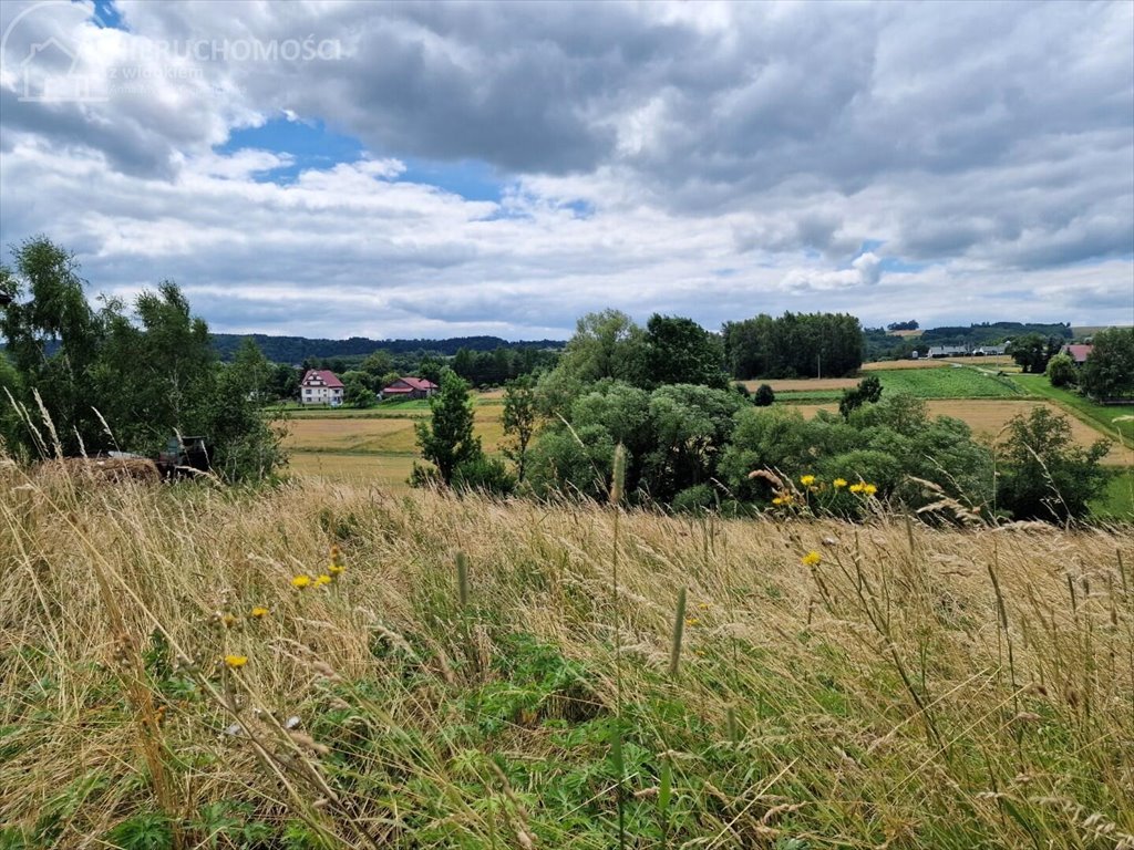 Działka budowlana na sprzedaż Sitnica  10 602m2 Foto 3