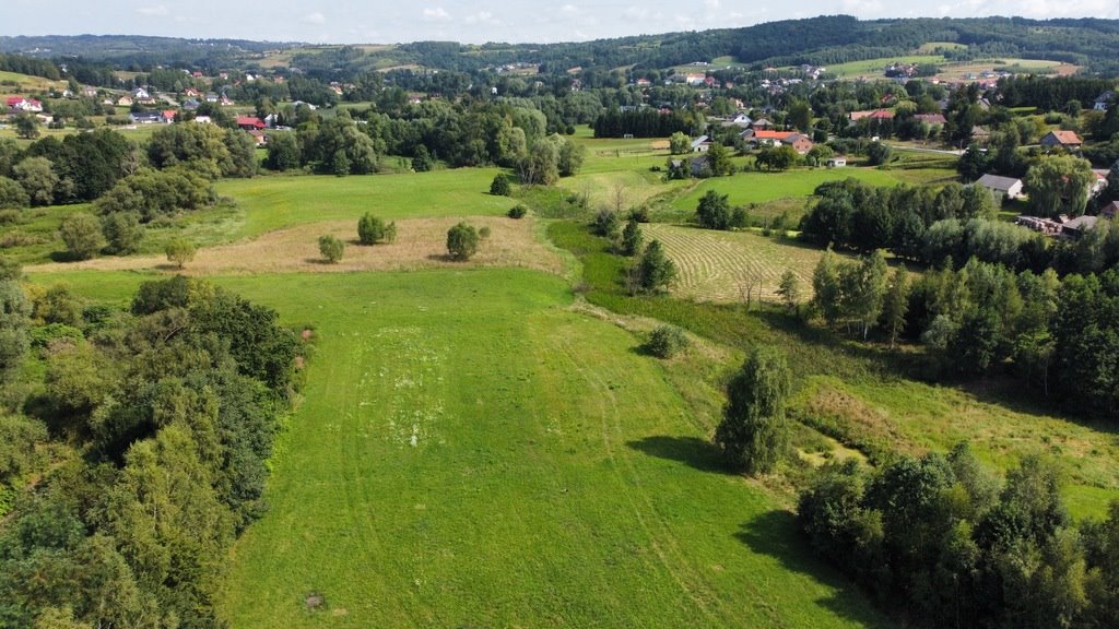 Działka budowlana na sprzedaż Borek Stary  3 100m2 Foto 2