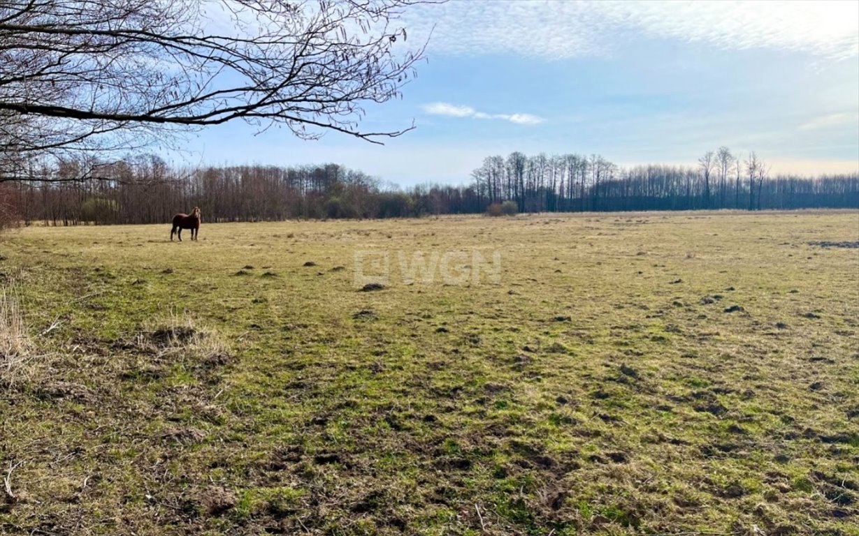 Działka inna na sprzedaż Brzozówka, Brzozówka  99 000m2 Foto 7