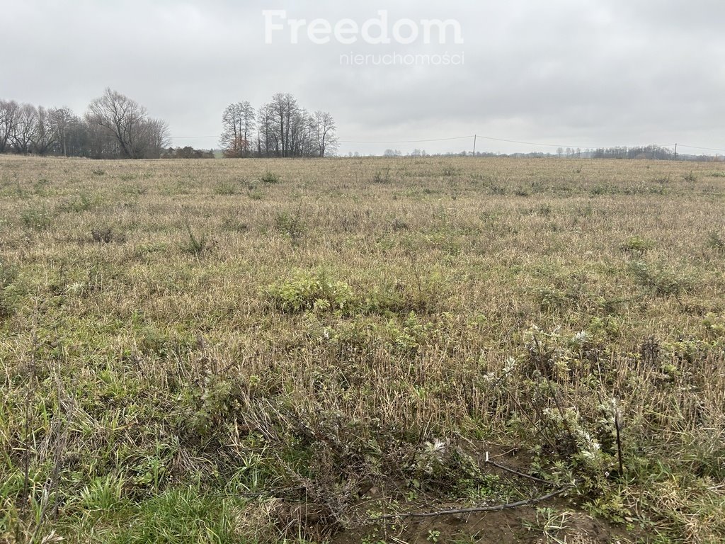 Działka inna na sprzedaż Karbowskie  3 037m2 Foto 12