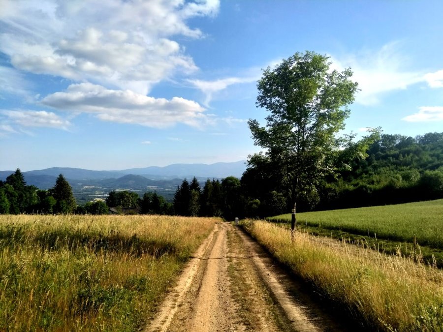 Działka budowlana na sprzedaż Komarno  2 000m2 Foto 1