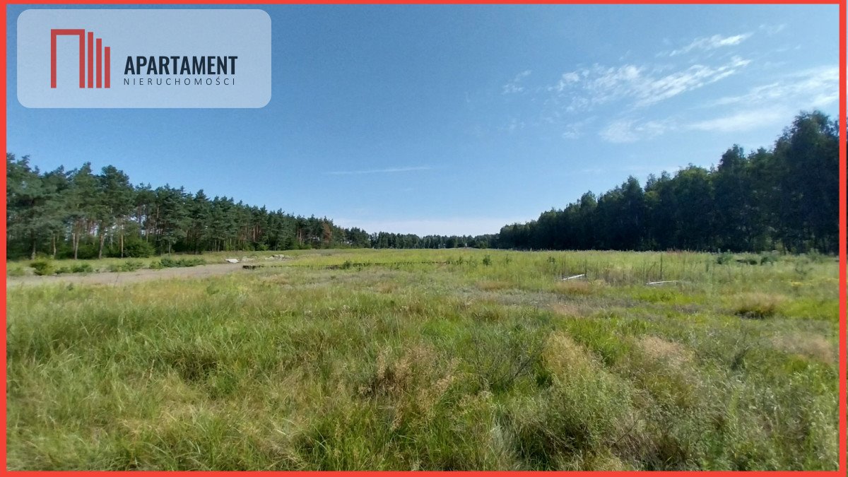 Działka leśna 17 000 m² z prywatnością i spokojem Sipiory  17 000m2 Foto 1