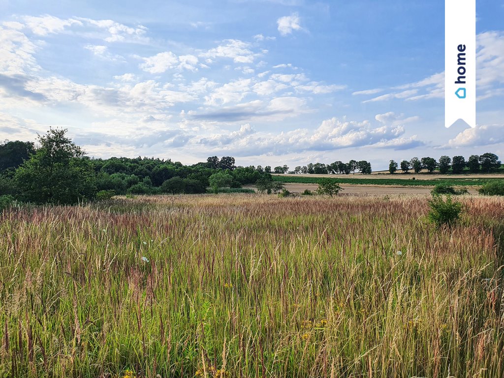 Działka budowlana na sprzedaż Wińsko, Parkowa  1 405m2 Foto 6