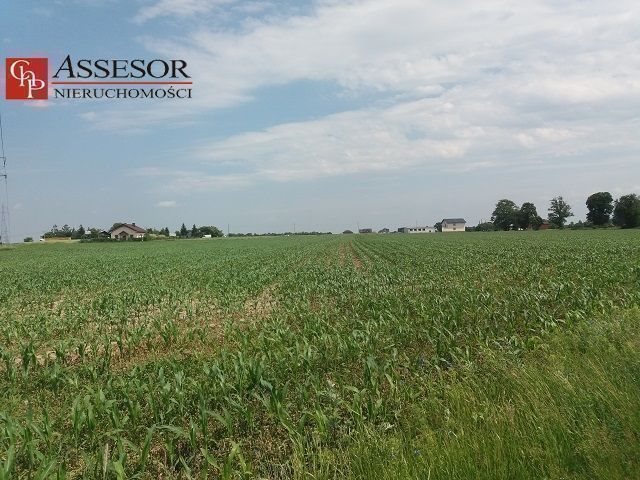 Działka komercyjna z mieszkaniami, 2,02 ha, asfalt Kalisz, Zagorzynek  20 204m2 Foto 1