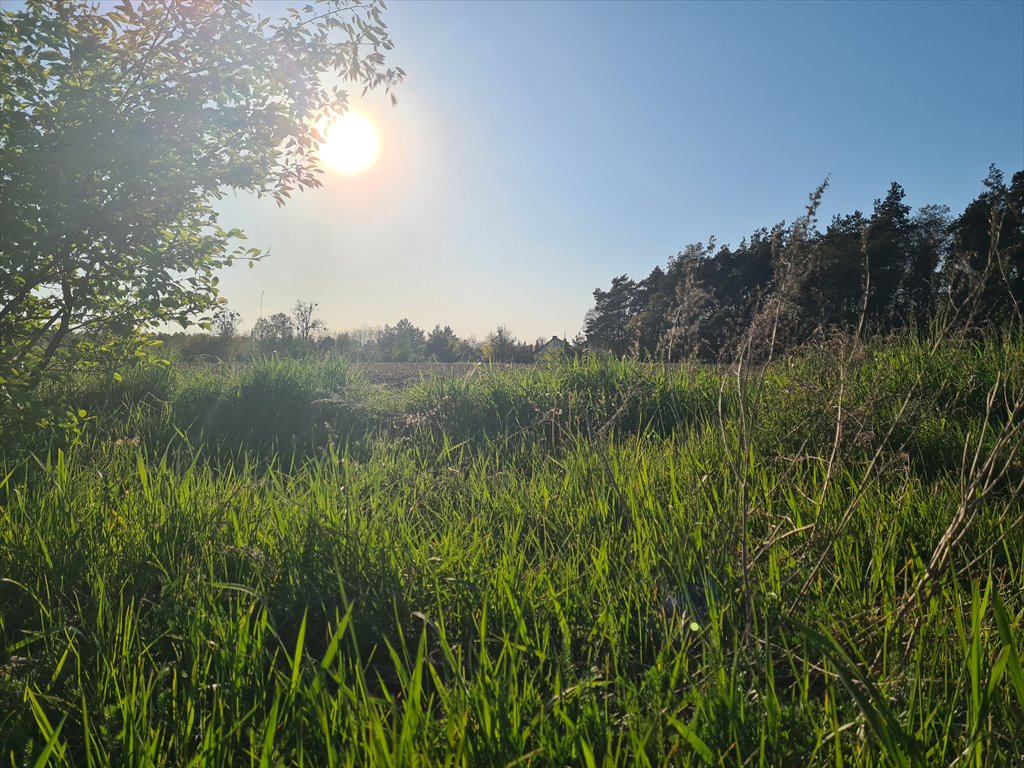 Działka budowlana na sprzedaż Sochaczew, Wypalenisko, Przylasek  3 820m2 Foto 3