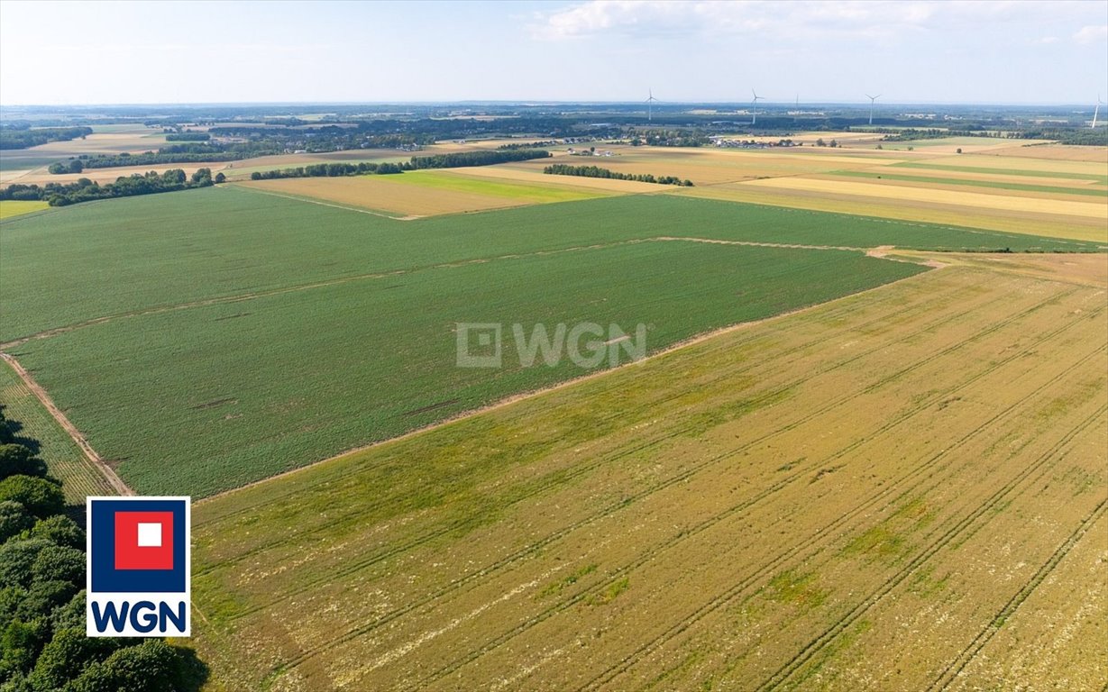 Działka budowlana na sprzedaż Słupsk, Stanisława Szpilewskiego  3 009m2 Foto 7