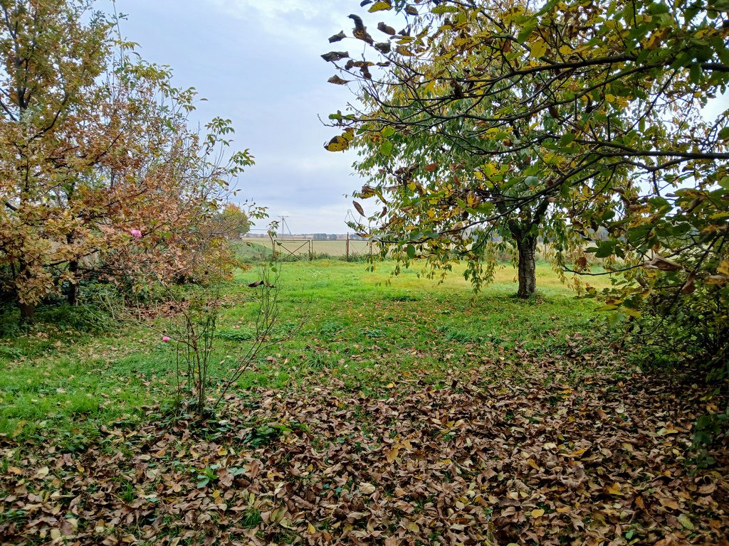 Dom na sprzedaż Wilków Średzki  150m2 Foto 17