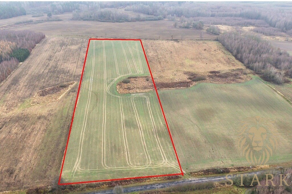 Przestronna działka rolna 3,52 ha z lasami i dojazdem asfaltowym Błotno  35 200m2 Foto 1