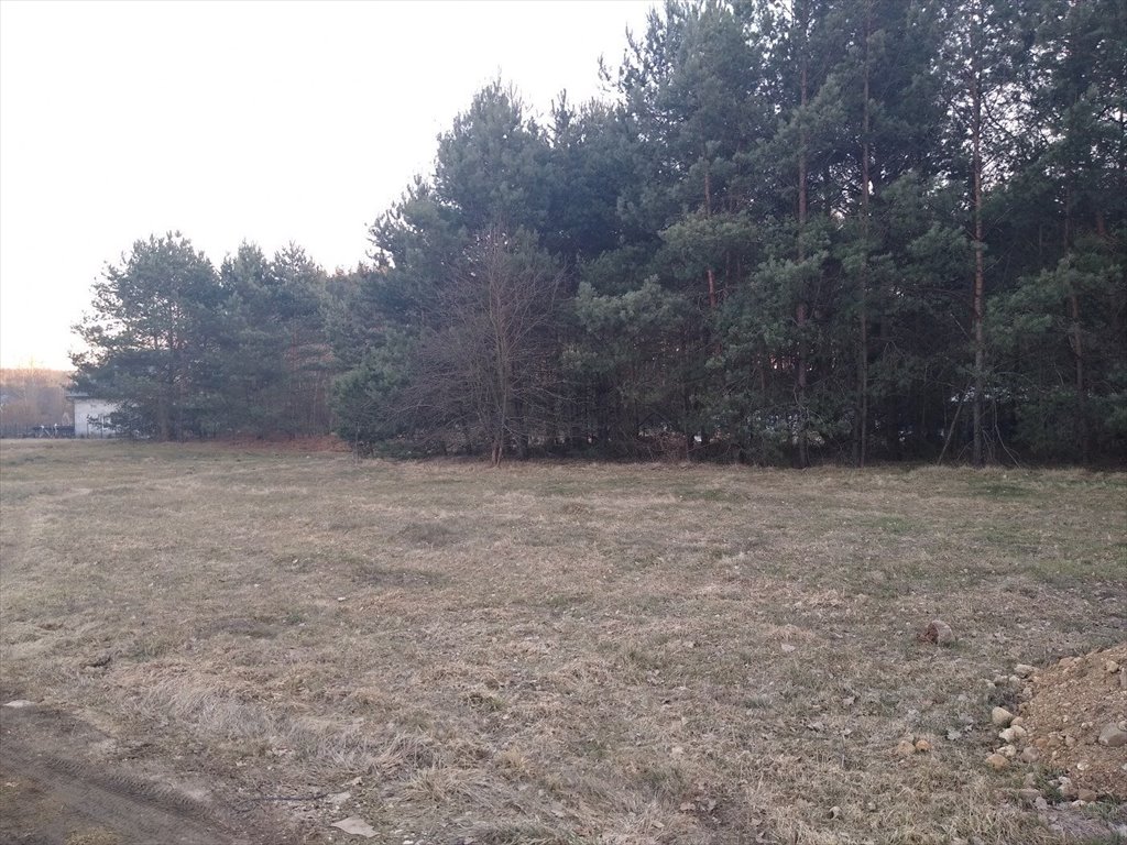 Działka inna na sprzedaż Daleszyce, Cisów  8 100m2 Foto 16