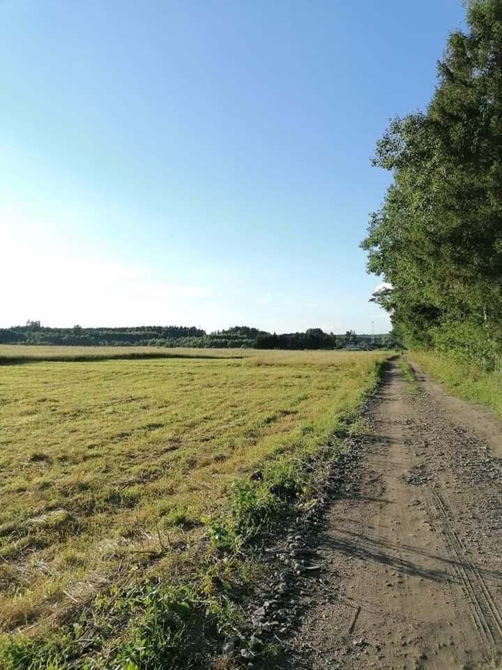 Działka gospodarstwo rolne na sprzedaż Rybniki  3 400m2 Foto 3