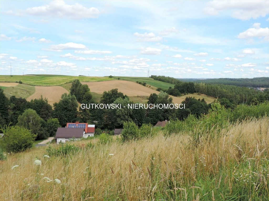 Do sprzedania działka rolna 1,2 ha z widokami i blisko jezior Bratian, Łąki Bratiańskie  12 081m2 Foto 1