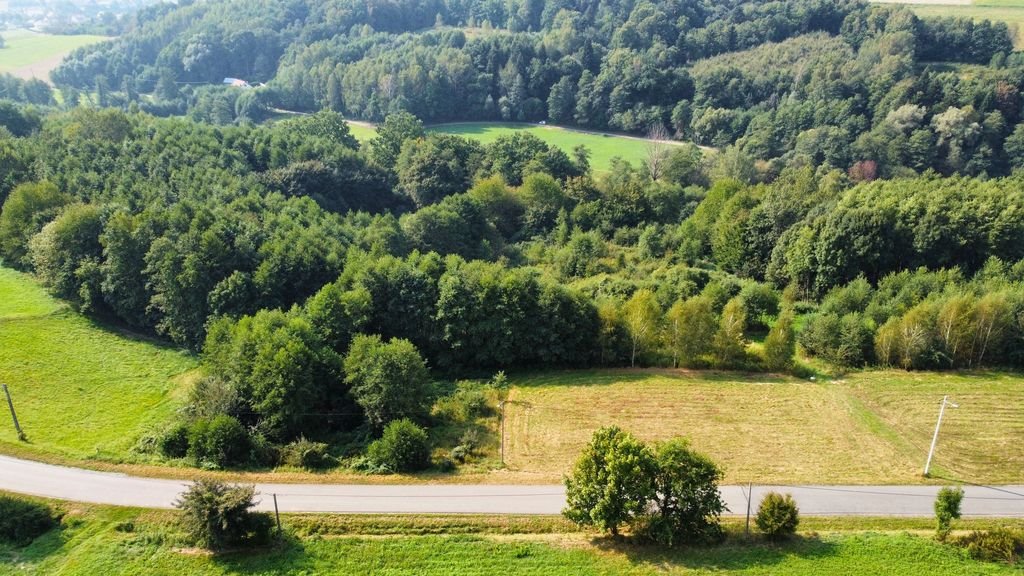 Działka budowlana na sprzedaż Przedmieście Czudeckie  1 100m2 Foto 5