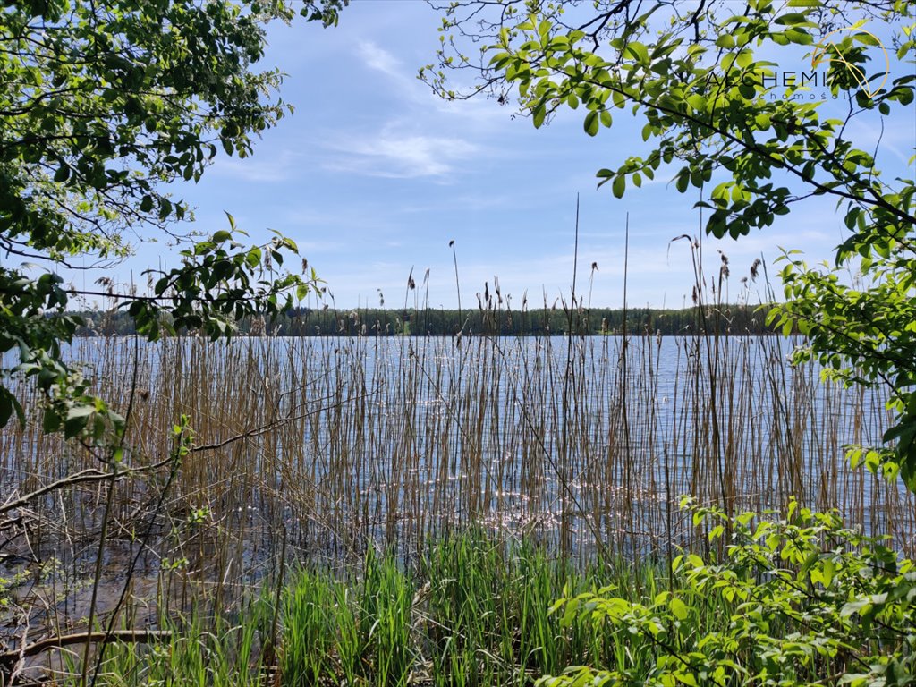 Działka budowlana na sprzedaż Mostkowo  22 916m2 Foto 2