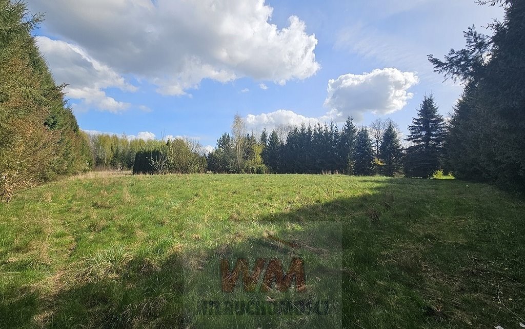 Inwestycyjna działka z domem i oczkiem wodnym - 29,5 ha Pniewy  29 501m2 Foto 1