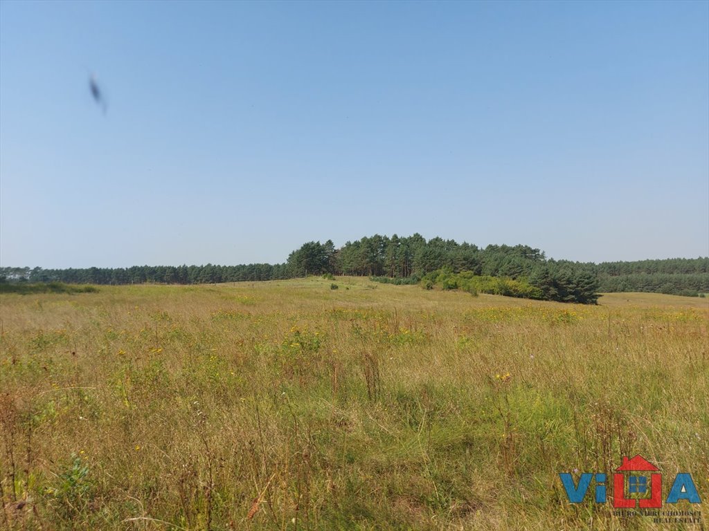 Działka inwestycyjna 13 100 m² pod zabudowę produkcyjną Droszków  13 100m2 Foto 1