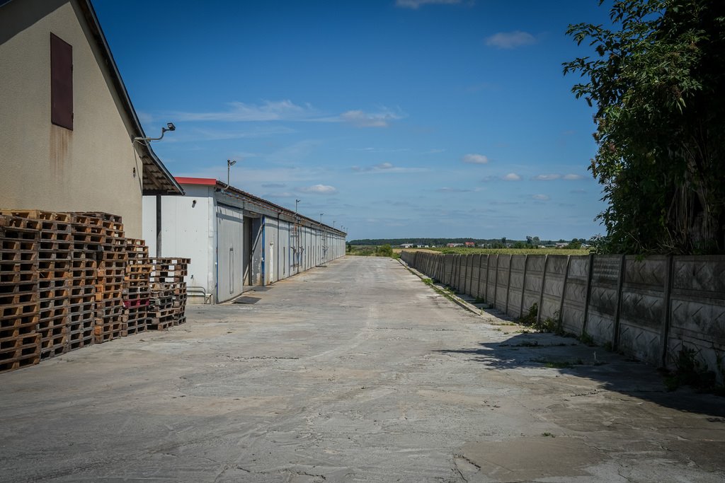 Do sprzedania kompleks produkcyjny 4570 m² z infrastrukturą w Dąbkowicach Dąbkowice Dolne  4 570m2 Foto 1