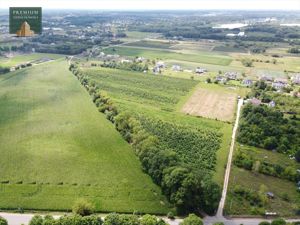 Działka rolna na sprzedaż Sobolewo  19 988m2 Foto 2