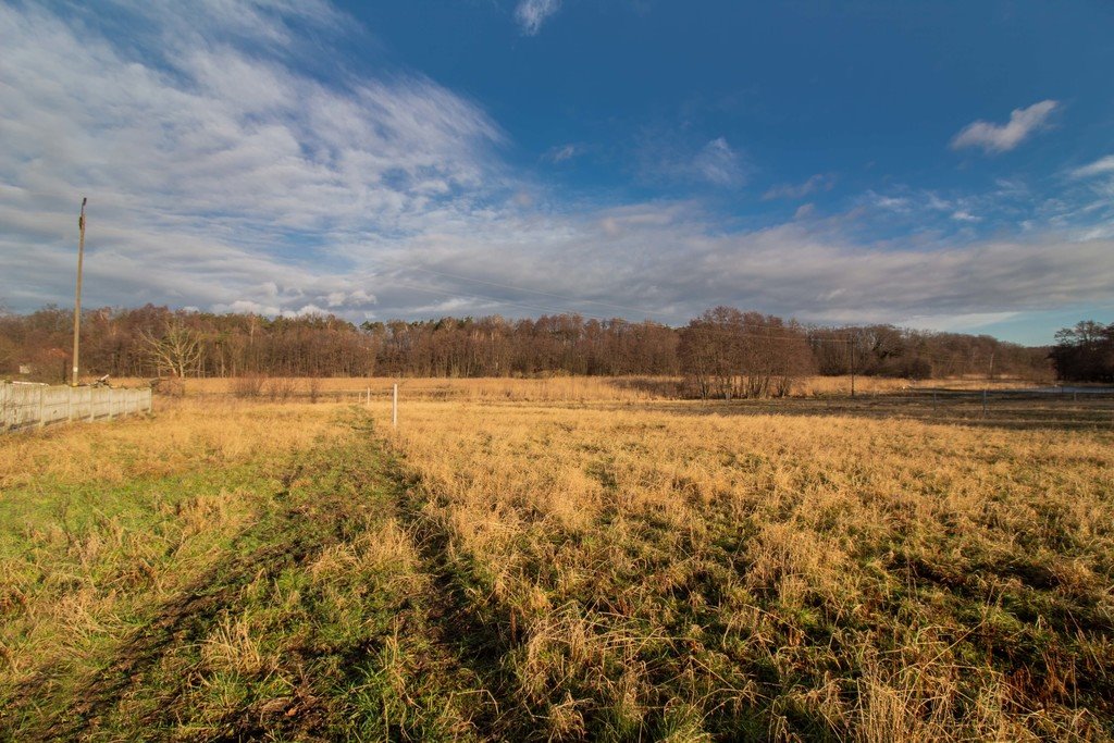 Działka budowlana na sprzedaż Żary, Bociania  1 100m2 Foto 18