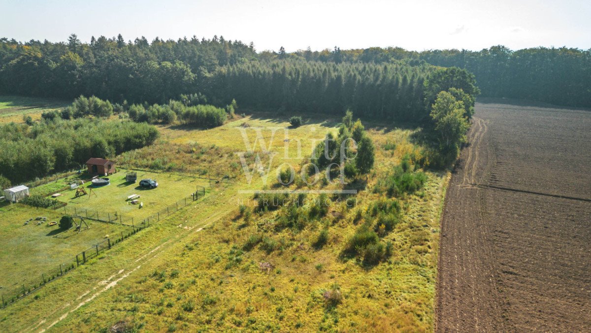 Działka budowlana na sprzedaż Połchowo  1 000m2 Foto 4