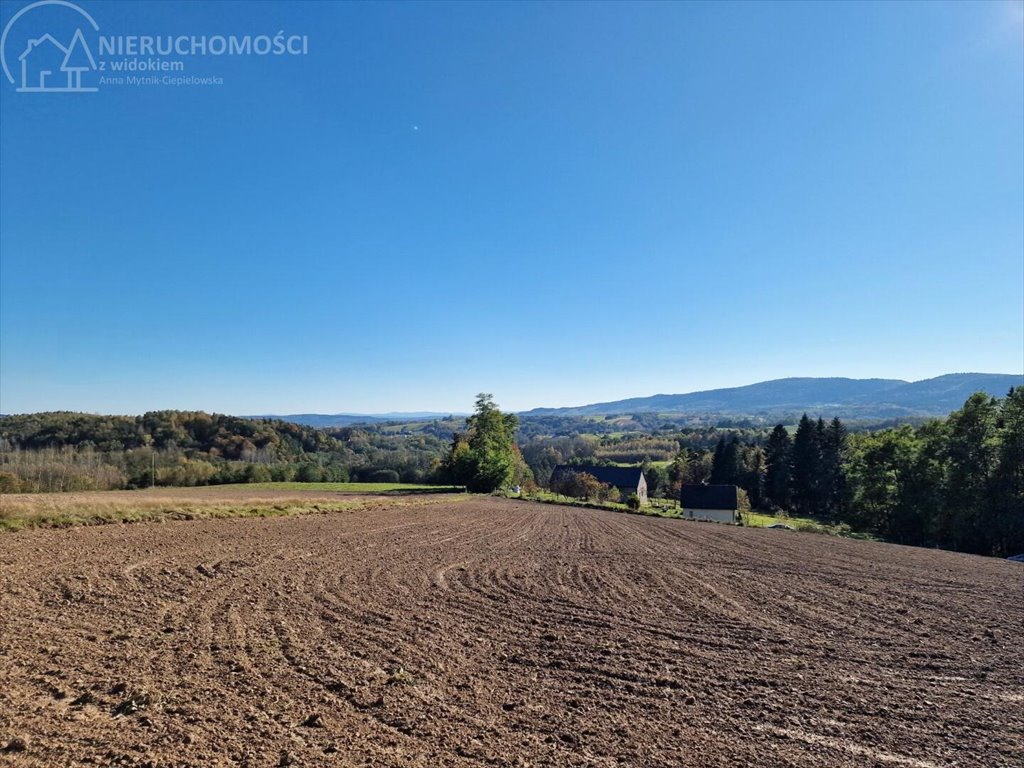 Działka budowlana na sprzedaż Błażkowa  2 200m2 Foto 7