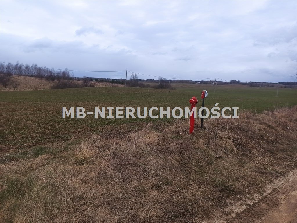 Działka 5 000 m² z mediami, blisko Olsztynka - polecam! Królikowo  5 000m2 Foto 1