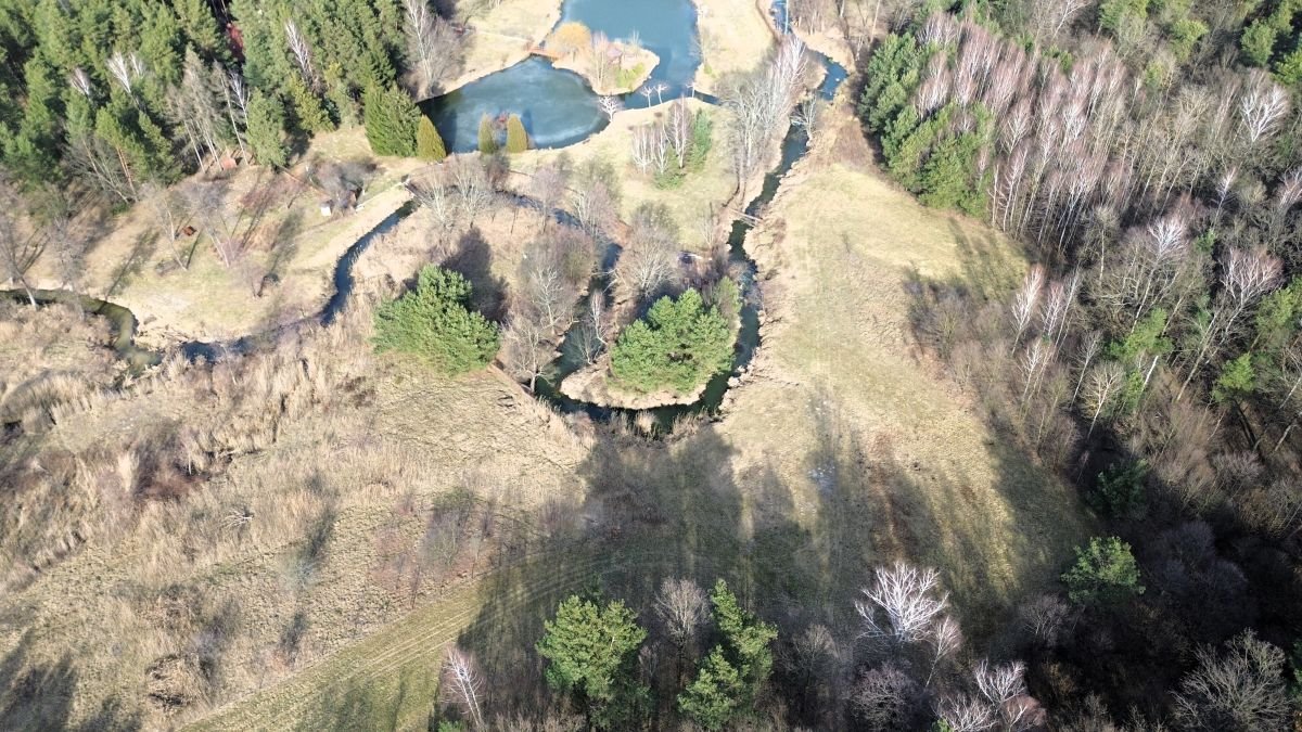 Lokal użytkowy na sprzedaż Tartak  52 600m2 Foto 30