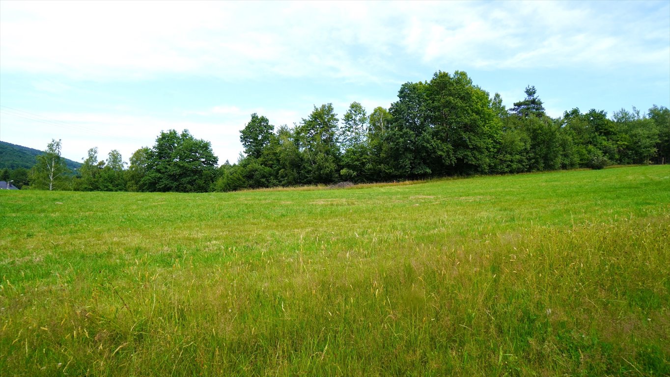 Działka budowlana na sprzedaż Ropica Górna  1 590m2 Foto 4