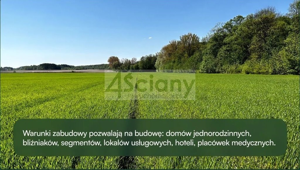 Sprzedam działkę 24 900 m² z MPZP i mediami w Młochowie Młochów  24 900m2 Foto 1
