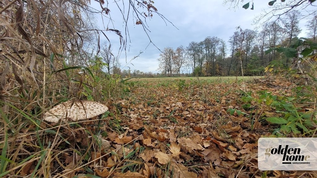 Działka budowlana na sprzedaż Kąkolewo, Albertowsko  5 000m2 Foto 2