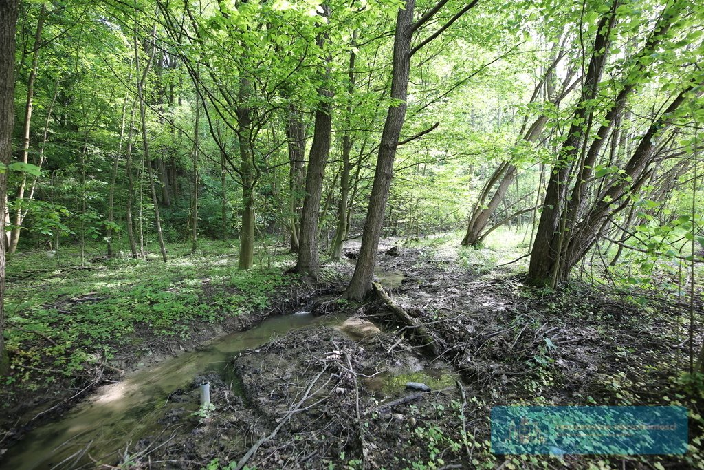 Działka budowlana na sprzedaż Rzeszów, Nadziei  4 600m2 Foto 11