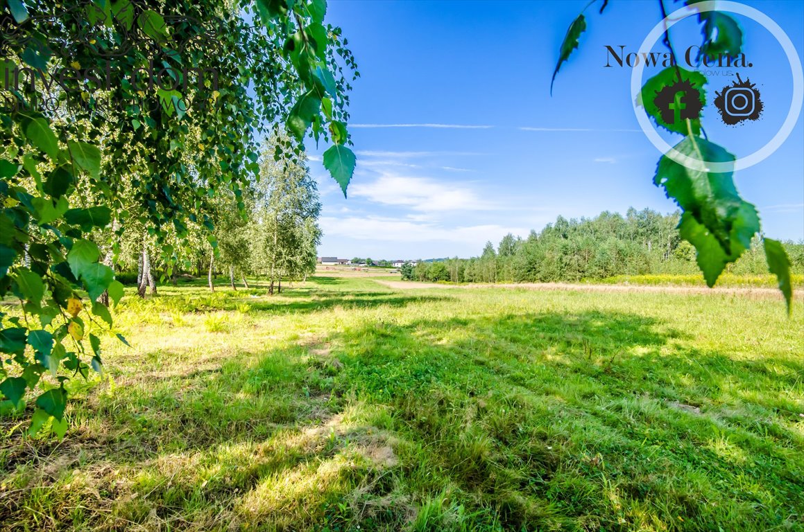 Na sprzedaż działka rolna 1ha z potencjałem pod zabudowę Grudna Kępska  10 095m2 Foto 1
