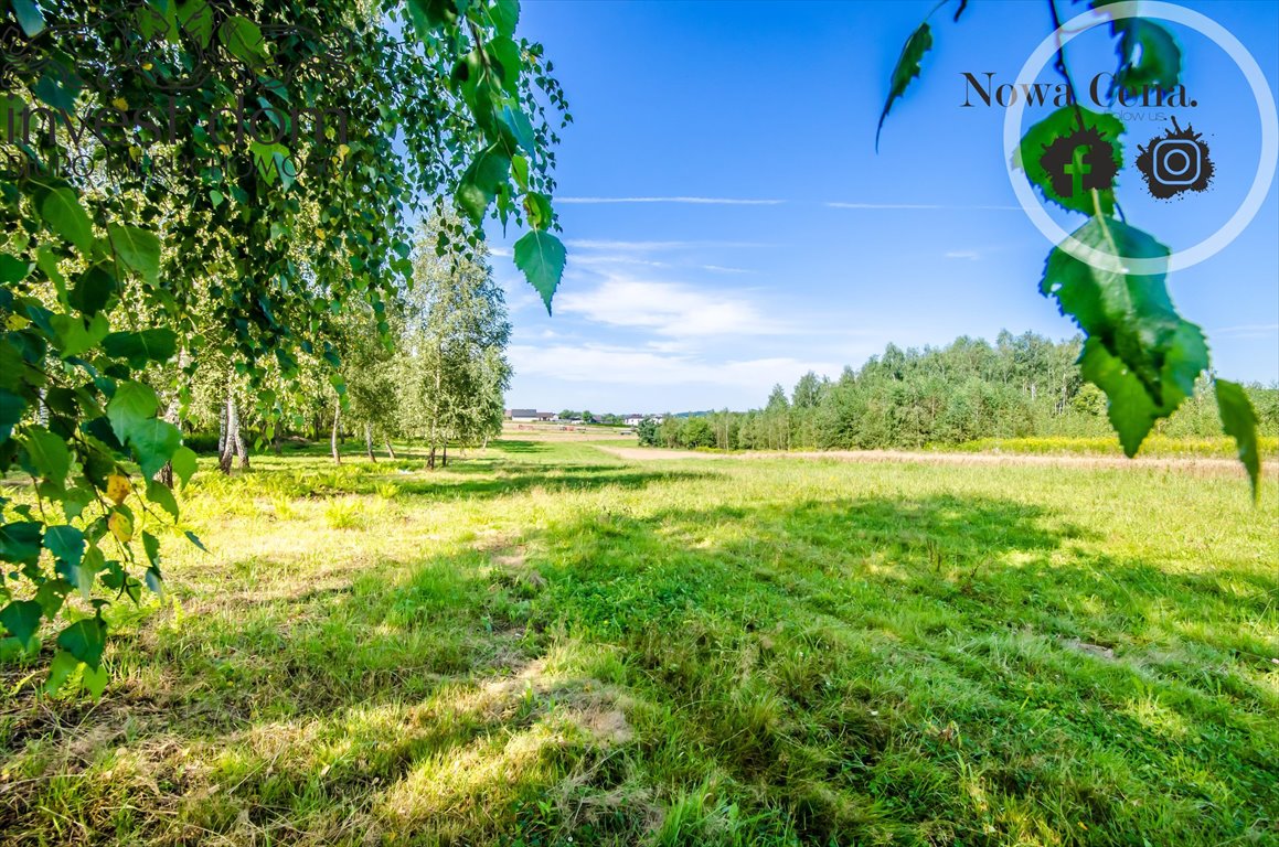 Działka rolna na sprzedaż Grudna Kępska  10 095m2 Foto 1