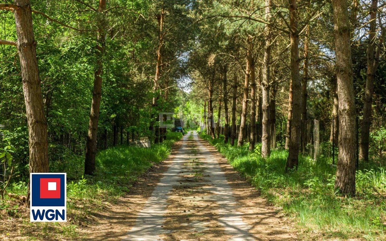 Działka budowlana na sprzedaż Musuły, Musuły, Musuły  1 216m2 Foto 4