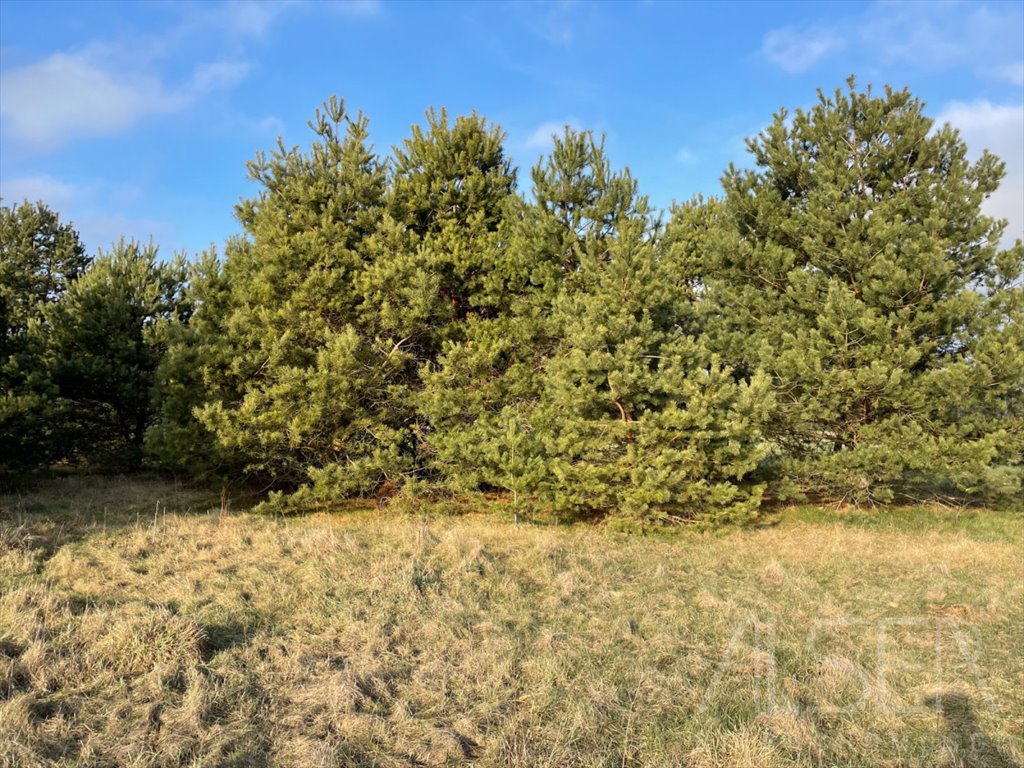 Działka rolna na sprzedaż Laskowizna  15 000m2 Foto 10