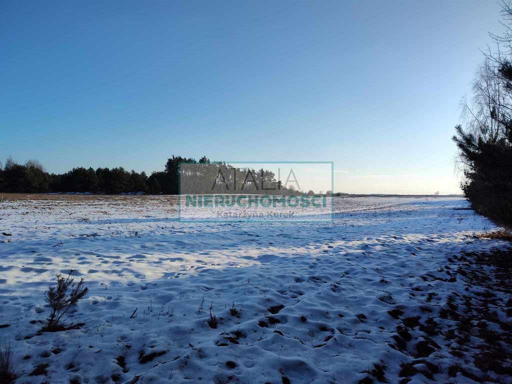 Zapraszam do zakupu malowniczej działki rolnej 54 586 m² w Chynowie Chynów  54 586m2 Foto 1