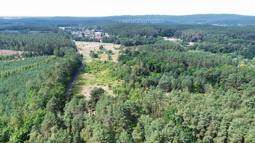 Działka 1194 m² w Chodzieży, blisko lasu - polecam! Chodzież  1 194m2 Foto 1