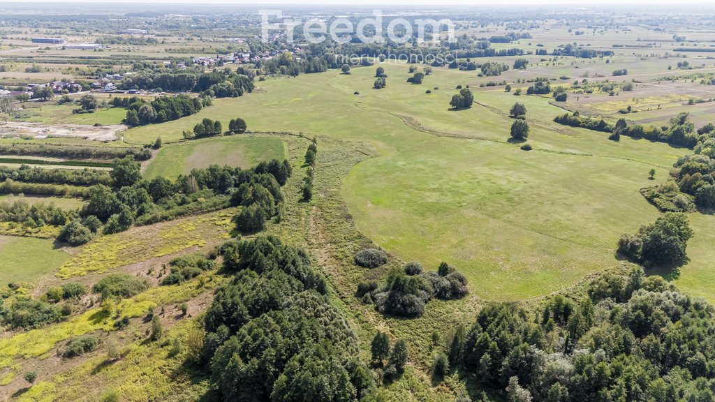 Działka rolna na sprzedaż Ostrówiec  3 924m2 Foto 3