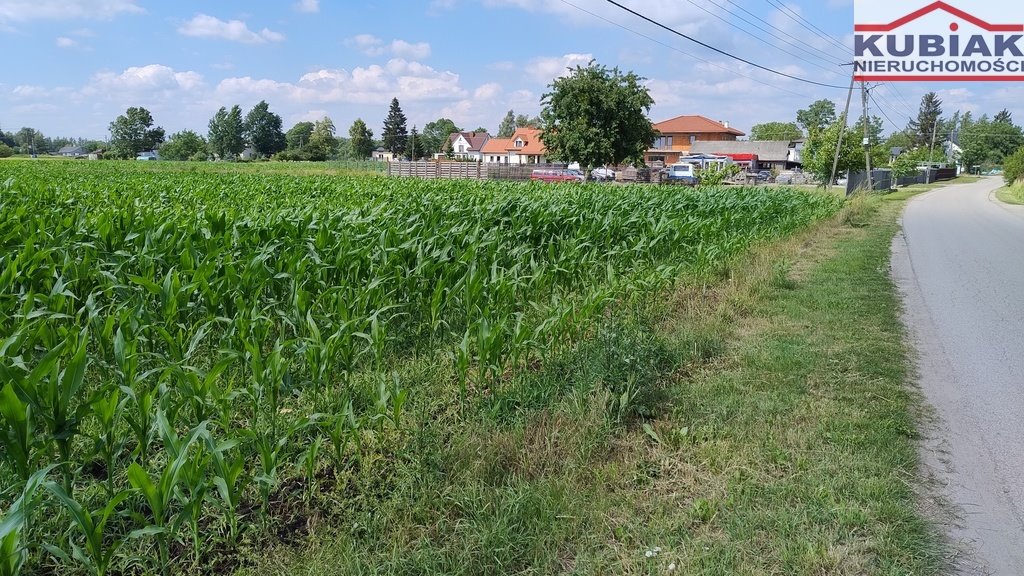 Działka budowlana na sprzedaż Żaby  15 207m2 Foto 2