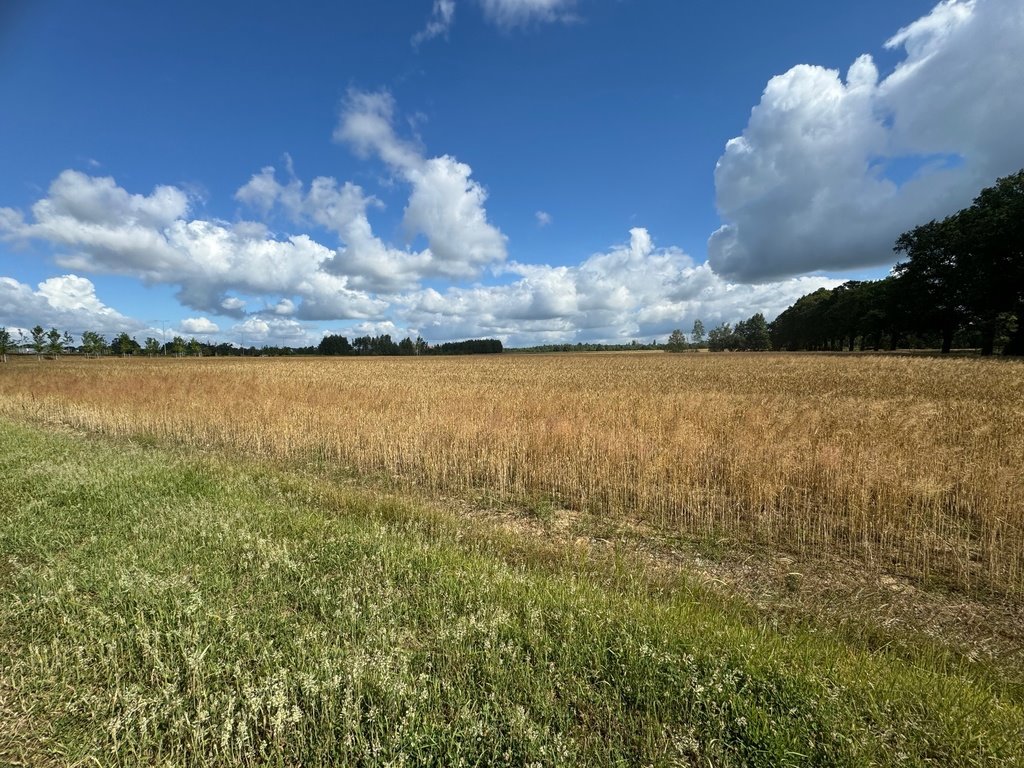 Działka budowlana na sprzedaż Wrocław, Ratyń, Ratyń, Wojska Polskiego  16 796m2 Foto 10