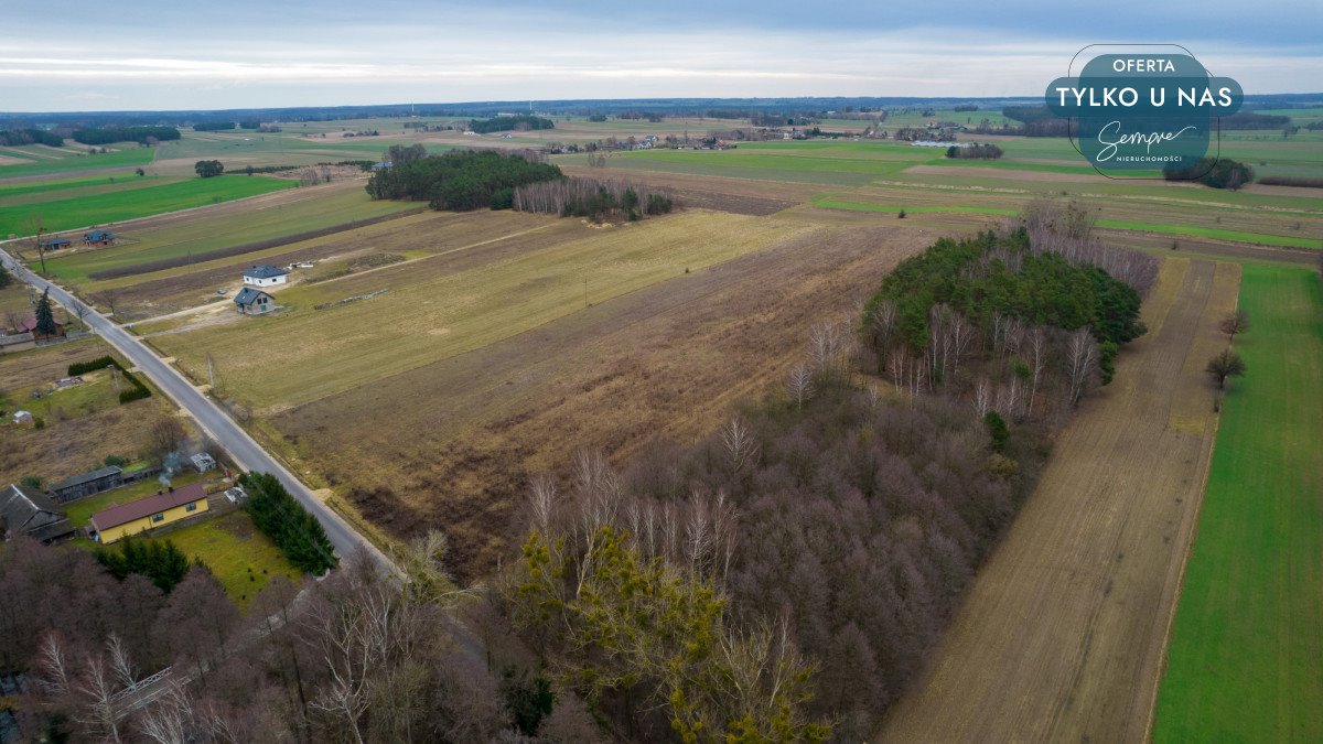 Działka budowlana na sprzedaż Marianów Kołacki  40 700m2 Foto 4