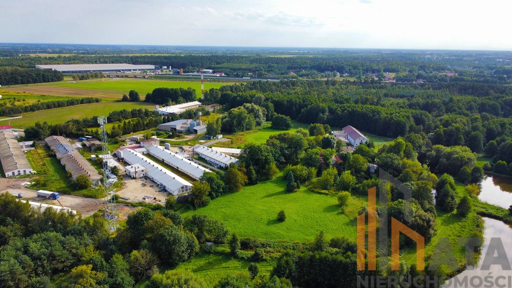 Działka budowlana na sprzedaż Sokołowice  10 000m2 Foto 3