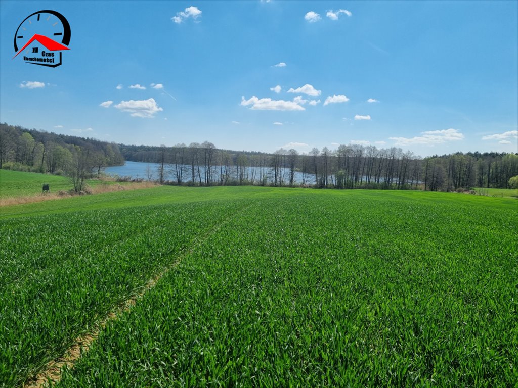 Działka budowlana na sprzedaż Oćwieka  3 560m2 Foto 8