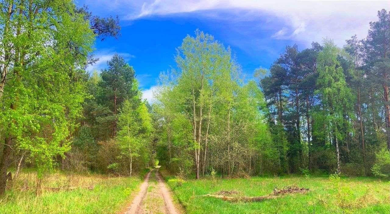 Działka inna na sprzedaż Smyków  3 600m2 Foto 1