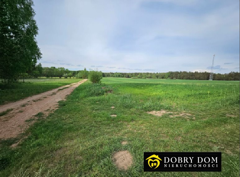 Zapraszam do zakupu działki 3012 m² z warunkami zabudowy Saki  3 012m2 Foto 1