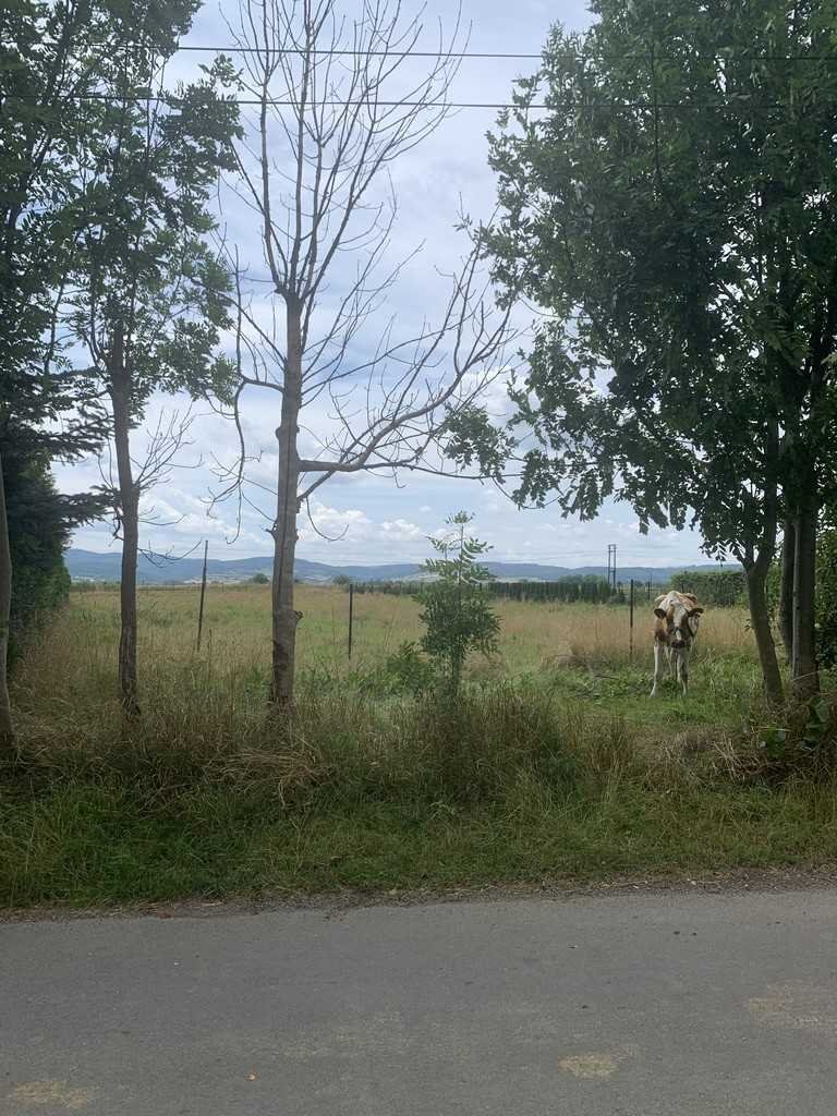 Sprzedam działkę budowlaną 2500 m² z mediami w Dzierżoniowie Dzierżoniów  2 500m2 Foto 1