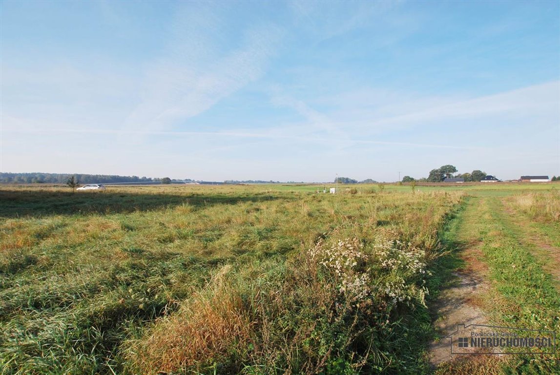 Działka budowlana na sprzedaż Szczecinek, Raciborki, Raciborki, Miodowa  1 552m2 Foto 7