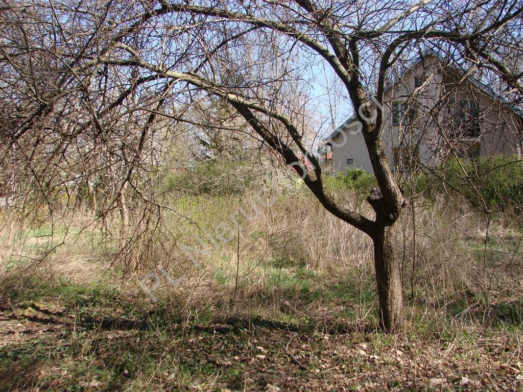 Działka budowlana 1953 m² w Milanówku, las, media, warunki Milanówek  1 953m2 Foto 1